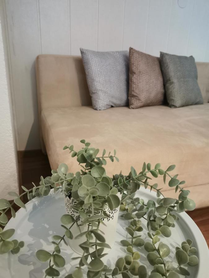Riverside Appartements Lieserbrücke المظهر الخارجي الصورة